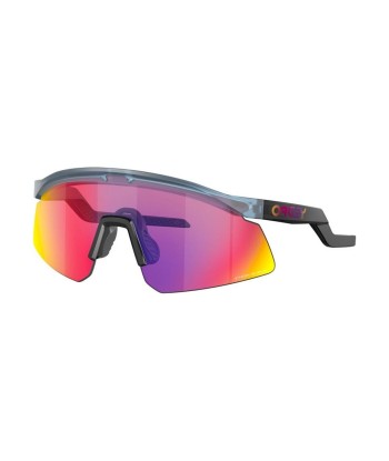 Hydra Matte Trans Stone Stonewash/Prizm Road Sunglasses s'inspire de l'anatomie humaine