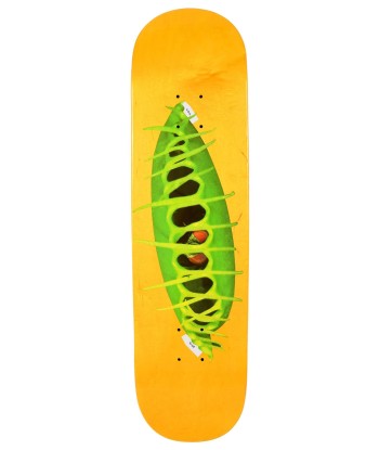 Ostrowski Fly Trap 8.25 Skateboard Deck outlet