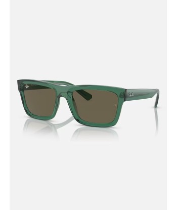 Warren Trans Green/Brown Sunglasses les ligaments