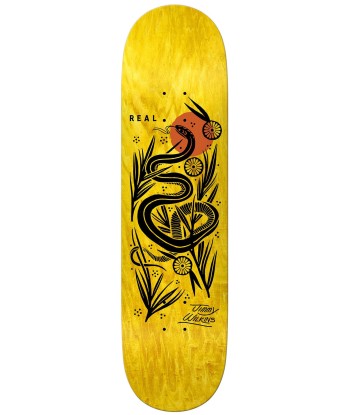 Wilkins Mudget 8.86 Skateboard Deck Véritable concentré